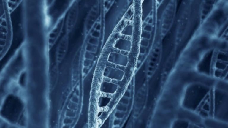 DNA an Intellectual Property – Gene Patenting