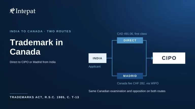 Trademark Registration in Canada: Process and Fees (2026)