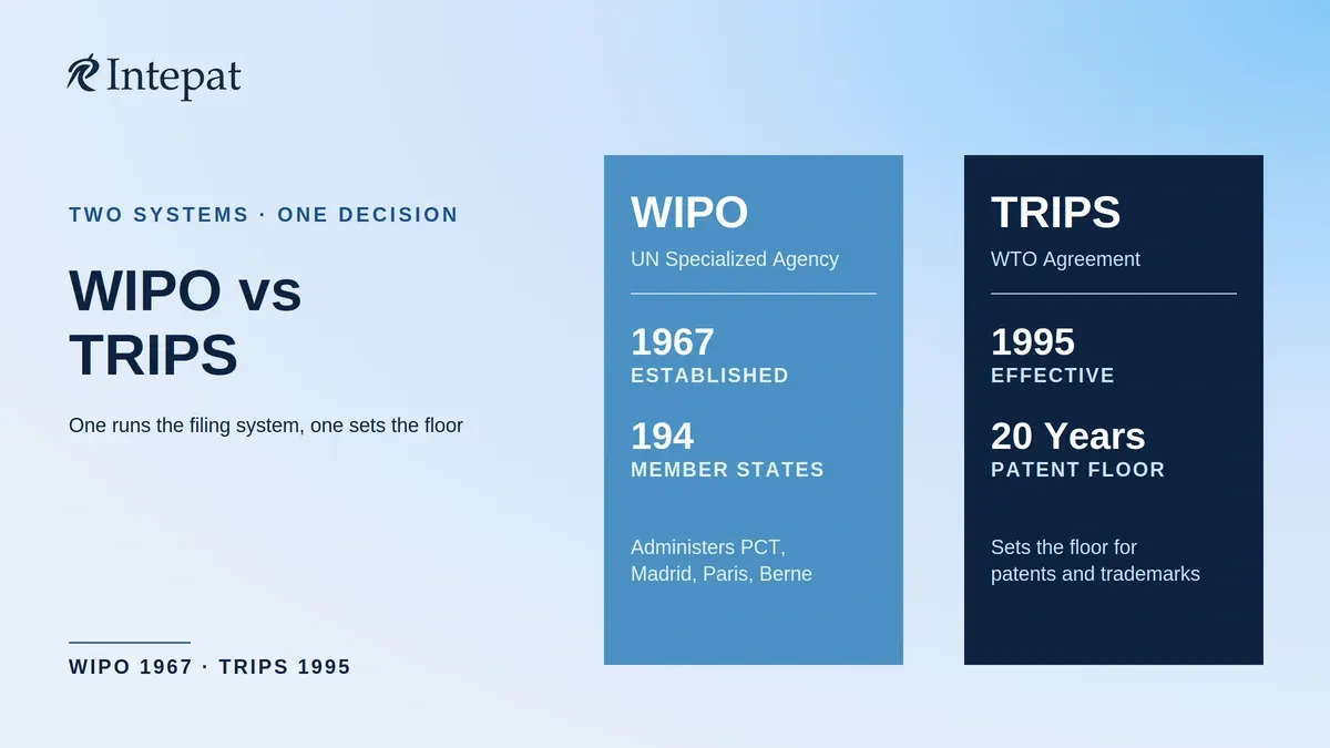 WIPO vs TRIPS: The Difference Explained for Founders