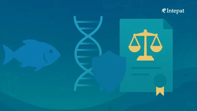 Intellectual Property Rights and Marine Biodiversity