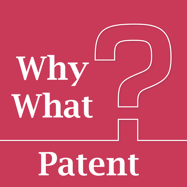 Patent Strategy, Patent Valuation, Why to Patent, What to Patent