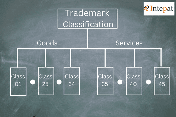 Trademark Classification