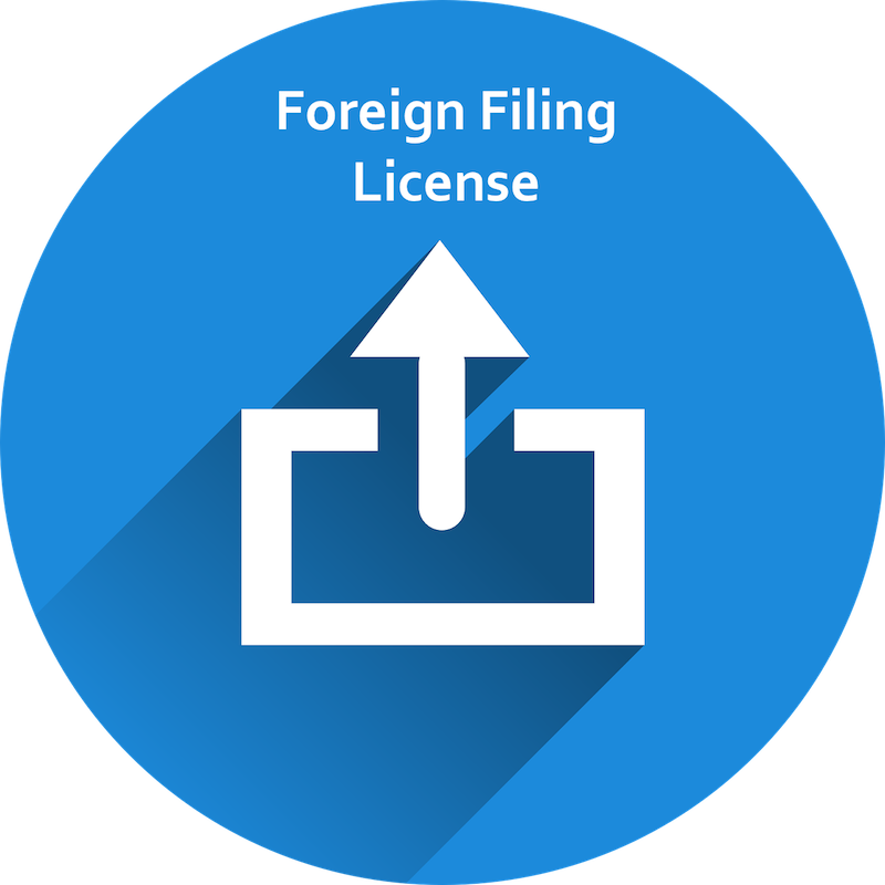 consequences-approval-ipo-foreign-filing