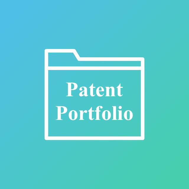Patent Portfolio, Maintaining Patent Portfolio
