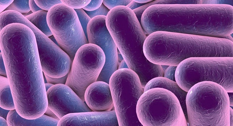 patentability-of-microorganism