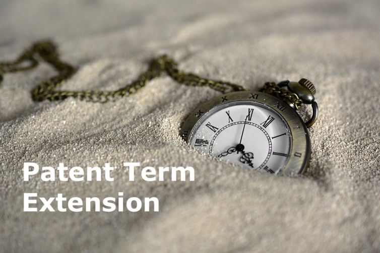 patent-term-extension