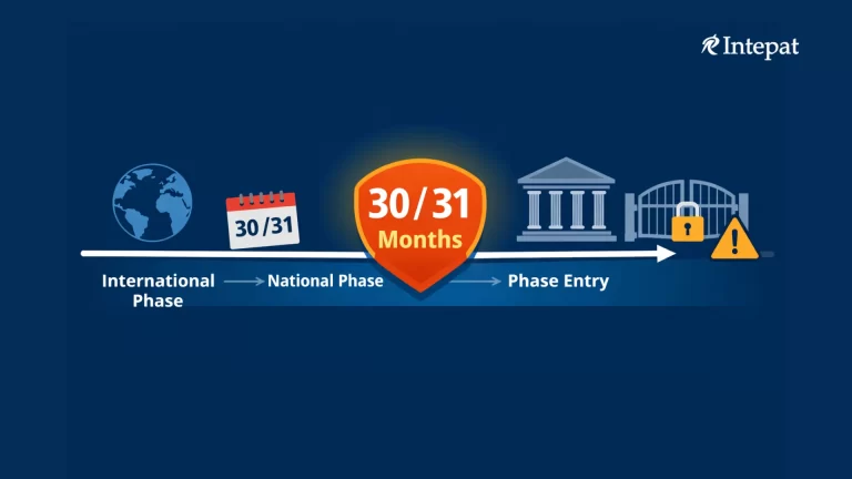 Late PCT National Phase Entry: Is It Still Possible After 30 or 31 Months?