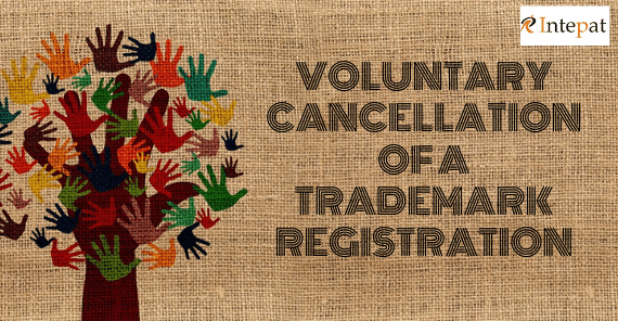 voluntary-cancellation-of-a-trademark-registration