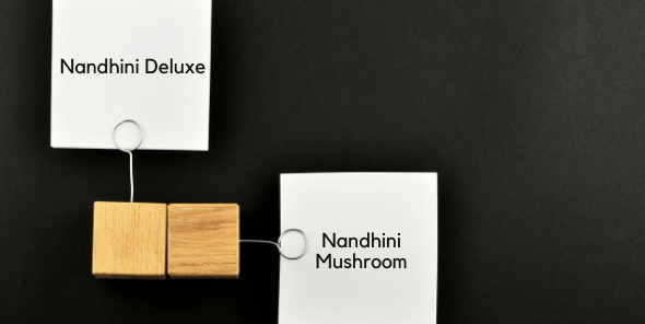 Nandhini Deluxe