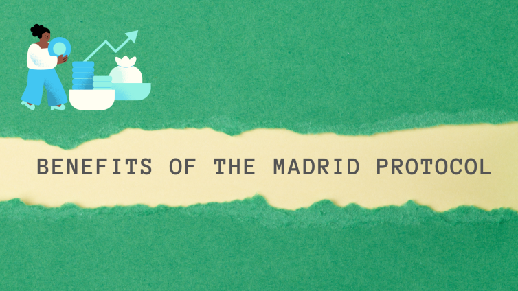 of the madrid protocol